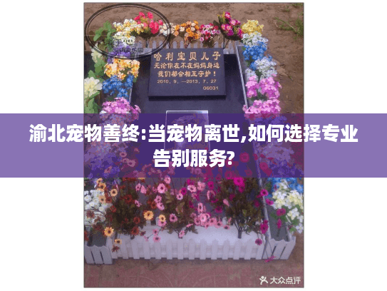 渝北宠物善终:当宠物离世,如何选择专业告别服务?