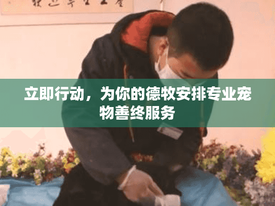 立即行动，为你的德牧安排专业宠物善终服务