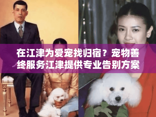 在江津为爱宠找归宿？宠物善终服务江津提供专业告别方案