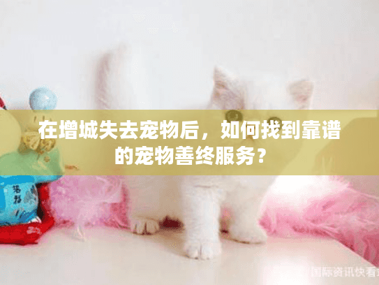 在增城失去宠物后，如何找到靠谱的宠物善终服务？