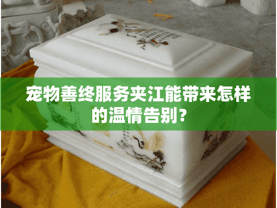宠物善终服务夹江能带来怎样的温情告别？