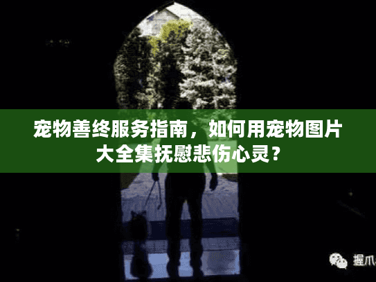 宠物善终服务指南，如何用宠物图片大全集抚慰悲伤心灵？