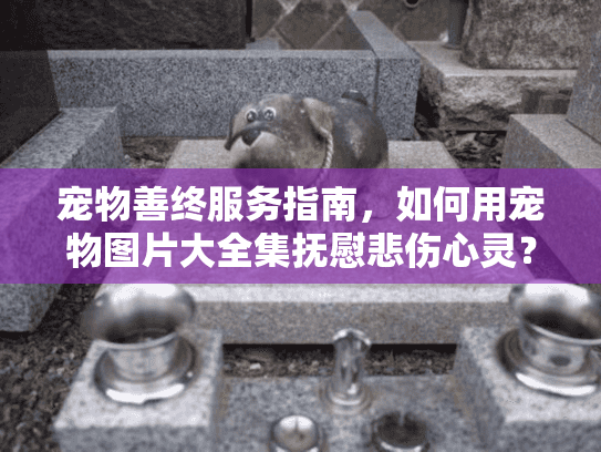 宠物善终服务指南，如何用宠物图片大全集抚慰悲伤心灵？