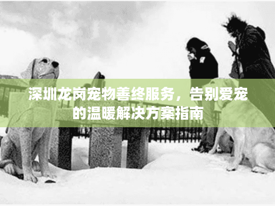 深圳龙岗宠物善终服务，告别爱宠的温暖解决方案指南