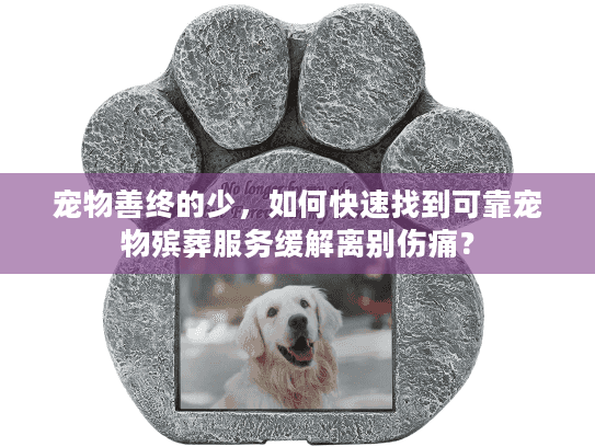宠物善终的少，如何快速找到可靠宠物殡葬服务缓解离别伤痛？