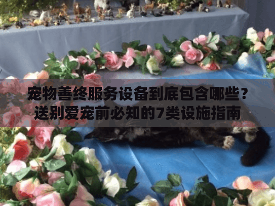 宠物善终服务设备到底包含哪些？送别爱宠前必知的7类设施指南
