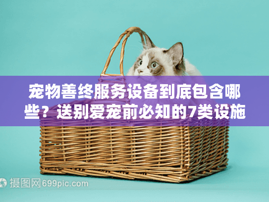 宠物善终服务设备到底包含哪些？送别爱宠前必知的7类设施指南