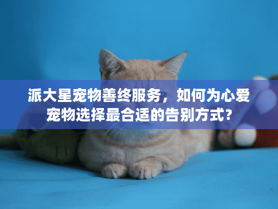 派大星宠物善终服务，如何为心爱宠物选择最合适的告别方式？