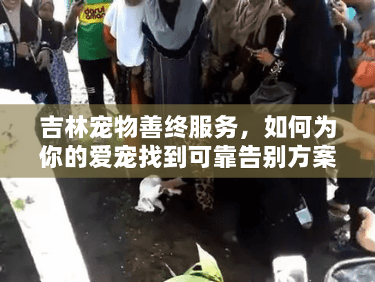 吉林宠物善终服务，如何为你的爱宠找到可靠告别方案？
