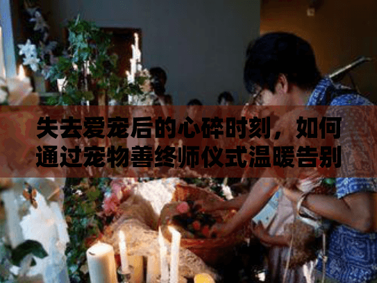 失去爱宠后的心碎时刻，如何通过宠物善终师仪式温暖告别？