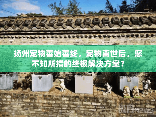 扬州宠物善始善终，宠物离世后，您不知所措的终极解决方案？