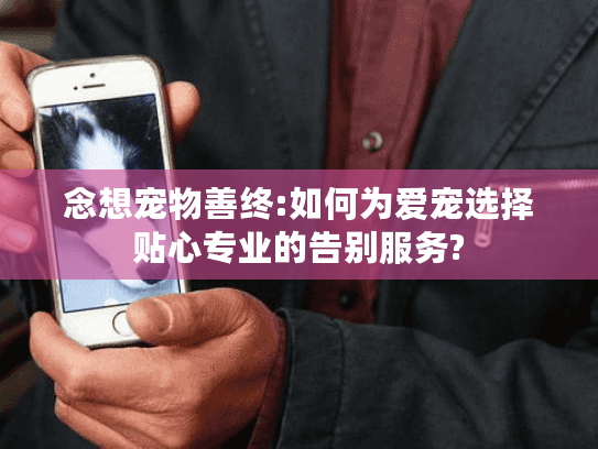 念想宠物善终:如何为爱宠选择贴心专业的告别服务?