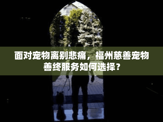 面对宠物离别悲痛，福州慈善宠物善终服务如何选择？