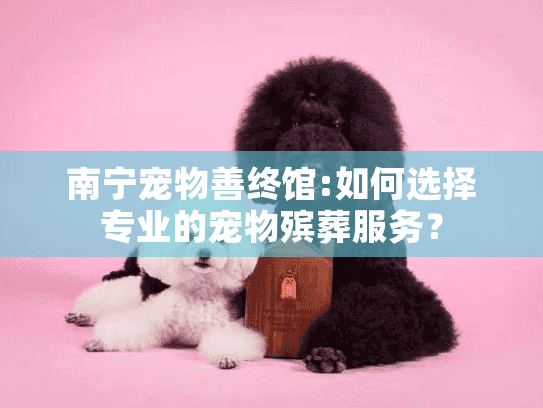 南宁宠物善终馆:如何选择专业的宠物殡葬服务？