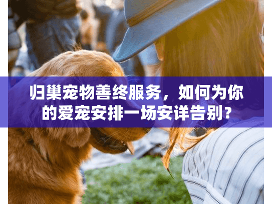 归巢宠物善终服务，如何为你的爱宠安排一场安详告别？