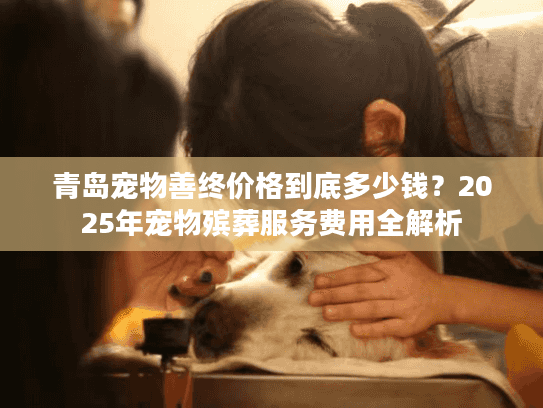 青岛宠物善终价格到底多少钱？2025年宠物殡葬服务费用全解析