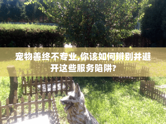 宠物善终不专业,你该如何辨别并避开这些服务陷阱?