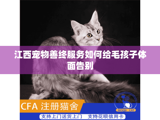 江西宠物善终服务如何给毛孩子体面告别