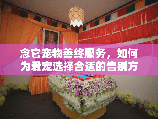 念它宠物善终服务，如何为爱宠选择合适的告别方式？