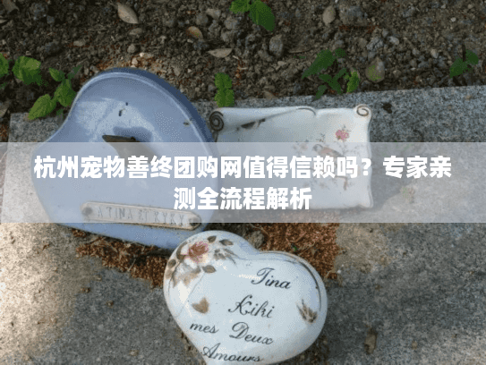杭州宠物善终团购网值得信赖吗？专家亲测全流程解析