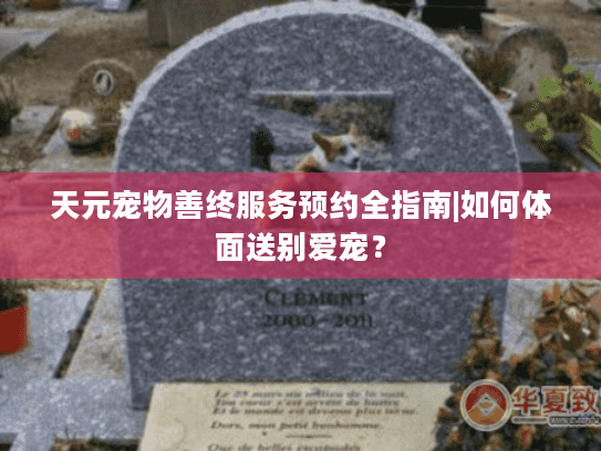 天元宠物善终服务预约全指南|如何体面送别爱宠？