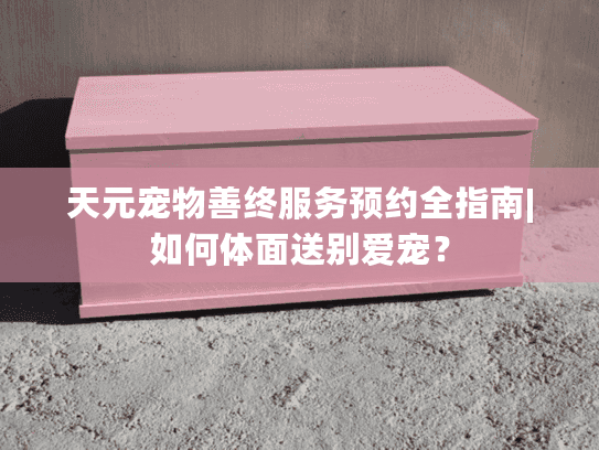 天元宠物善终服务预约全指南|如何体面送别爱宠？