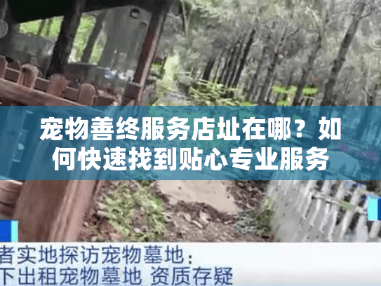 宠物善终服务店址在哪？如何快速找到贴心专业服务