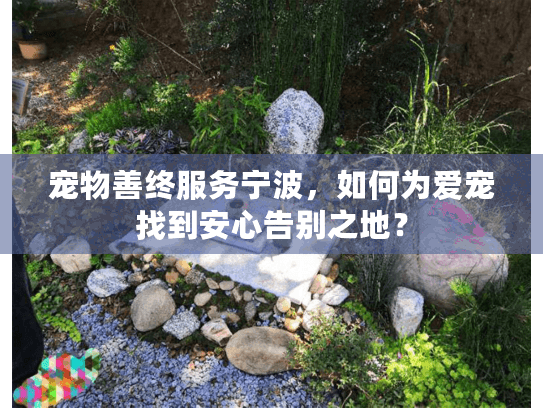 宠物善终服务宁波，如何为爱宠找到安心告别之地？