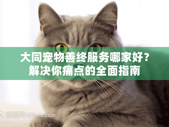 大同宠物善终服务哪家好？解决你痛点的全面指南