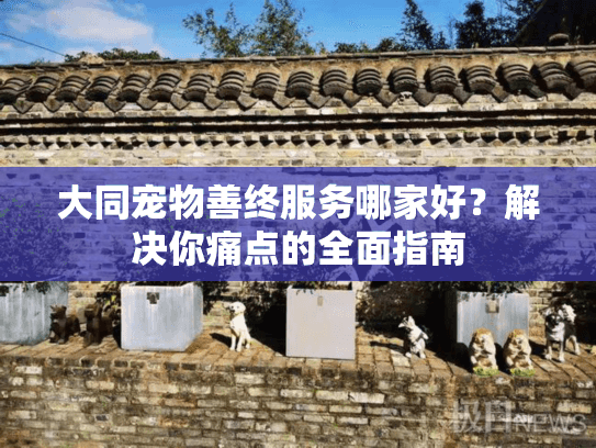 大同宠物善终服务哪家好？解决你痛点的全面指南