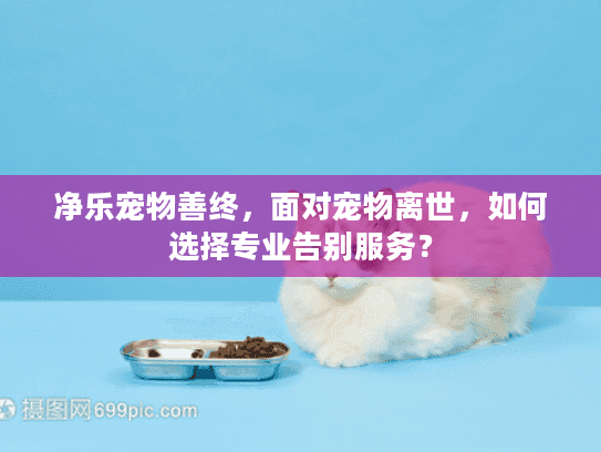 净乐宠物善终，面对宠物离世，如何选择专业告别服务？