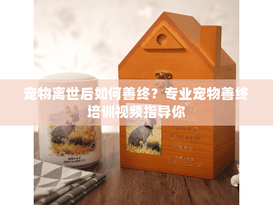 宠物离世后如何善终？专业宠物善终培训视频指导你