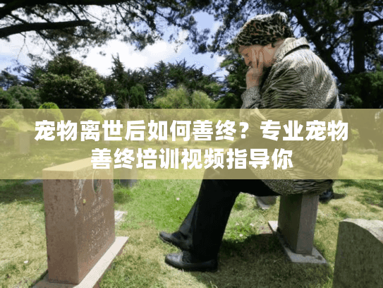 宠物离世后如何善终？专业宠物善终培训视频指导你