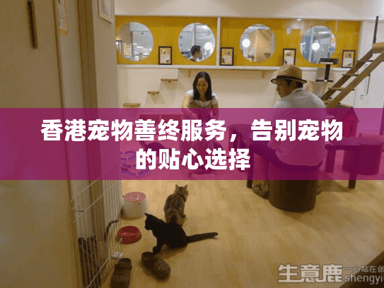 香港宠物善终服务，告别宠物的贴心选择