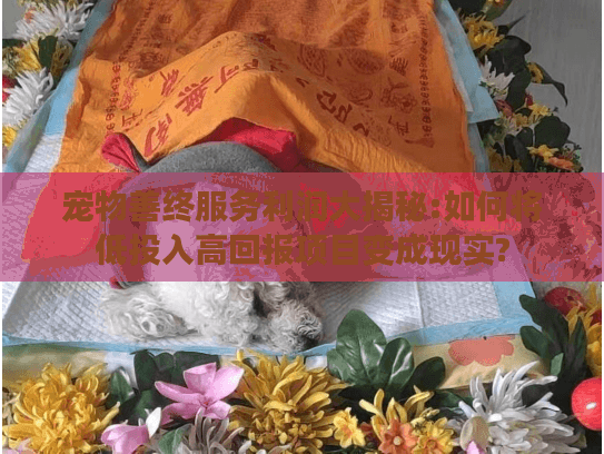 宠物善终服务利润大揭秘:如何将低投入高回报项目变成现实?
