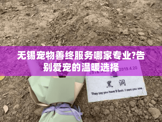 无锡宠物善终服务哪家专业?告别爱宠的温暖选择