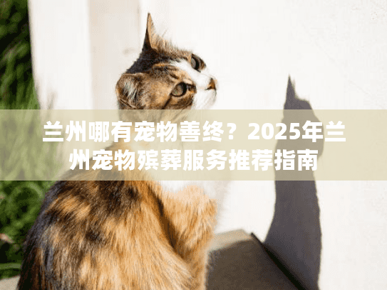 兰州哪有宠物善终？2025年兰州宠物殡葬服务推荐指南