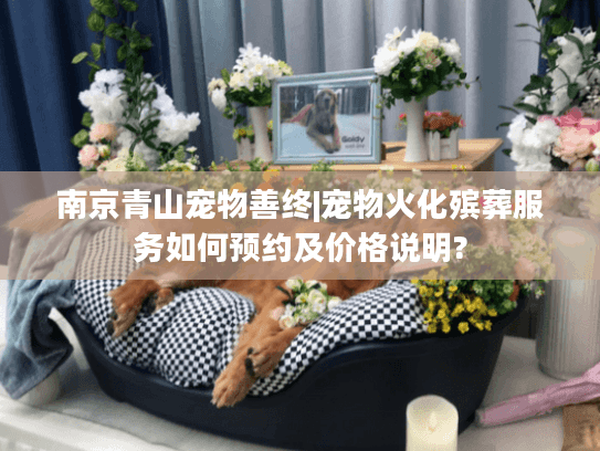 南京青山宠物善终|宠物火化殡葬服务如何预约及价格说明?