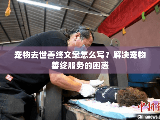 宠物去世善终文案怎么写？解决宠物善终服务的困惑