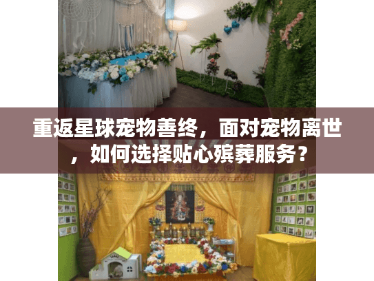 重返星球宠物善终，面对宠物离世，如何选择贴心殡葬服务？