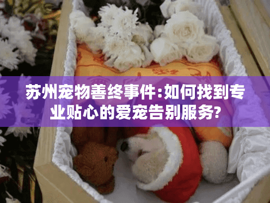 苏州宠物善终事件:如何找到专业贴心的爱宠告别服务?