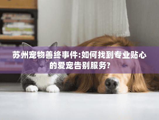 苏州宠物善终事件:如何找到专业贴心的爱宠告别服务?