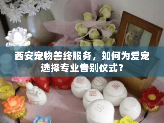 西安宠物善终服务，如何为爱宠选择专业告别仪式？