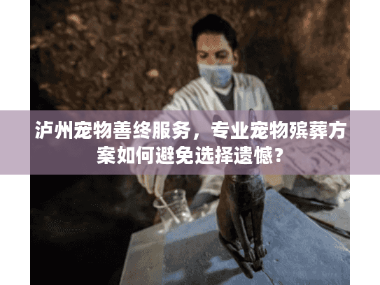 泸州宠物善终服务，专业宠物殡葬方案如何避免选择遗憾？