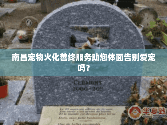 南昌宠物火化善终服务助您体面告别爱宠吗？