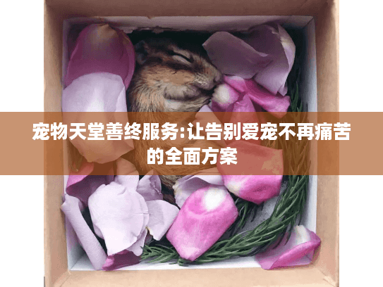 宠物天堂善终服务:让告别爱宠不再痛苦的全面方案