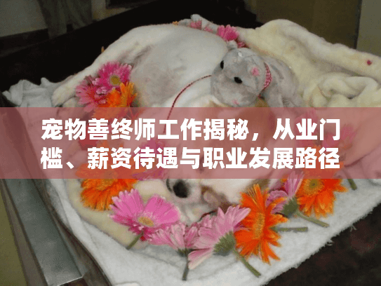 宠物善终师工作揭秘，从业门槛、薪资待遇与职业发展路径详解