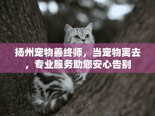 扬州宠物善终师，当宠物离去，专业服务助您安心告别