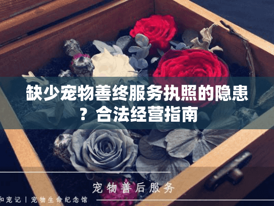 缺少宠物善终服务执照的隐患？合法经营指南