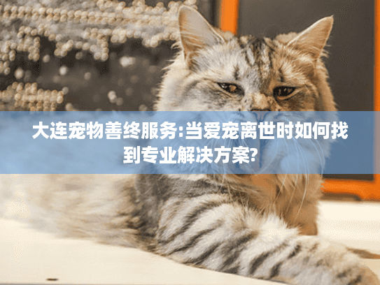 大连宠物善终服务:当爱宠离世时如何找到专业解决方案?